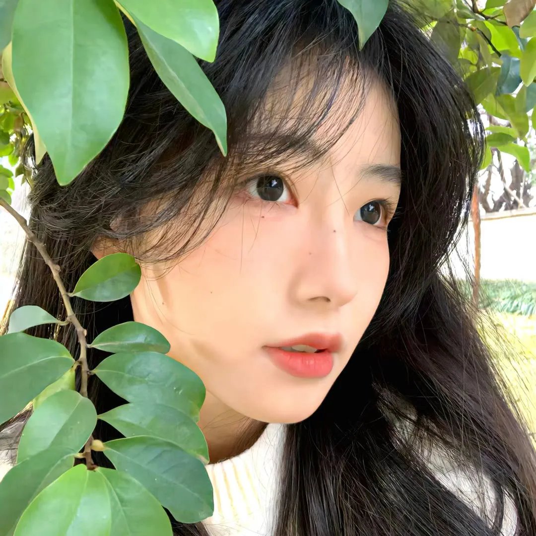 日月无光